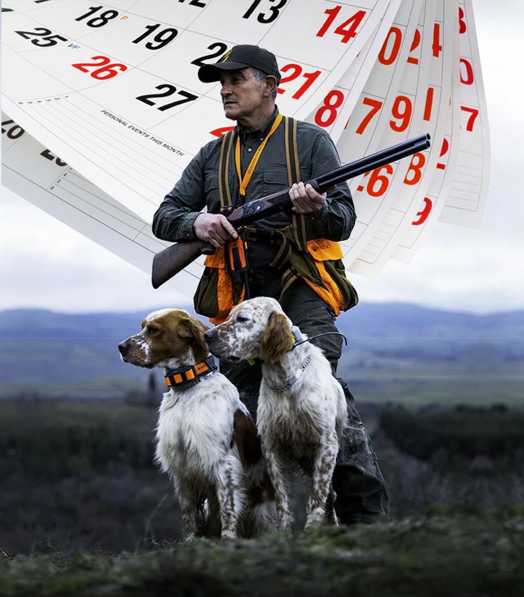 calendario per la caccia di selezione